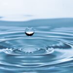 Jak Przeprowadzić Niezawodne Badanie Wody w Kielcach? Dlaczego Warto Inwestować w Badanie Wody Zdrowa i czysta woda to podstawa naszego codziennego życia – używamy jej do gotowania, picia, kąpieli, a także w wielu innych aspektach naszej codzienności. W związku z tym jakość wody, którą używamy, bezpośrednio wpływa na nasze zdrowie i dobrostan. Badanie wody to pierwszy krok do upewnienia się, że jest ona bezpieczna i zdrowa dla nas oraz naszych bliskich. W miastach, takich jak Kielce, gdzie mieszkańcy mogą korzystać zarówno z wodociągów, jak i prywatnych studni, jakość wody może znacznie się różnić. Regularne badania wody są więc nie tylko rekomendowane, ale często też wymagane, aby zapewnić bezpieczeństwo i zgodność z normami jakości. Znalezienie Odpowiedniego Laboratorium w Kielcach Różne laboratoria oferują różne zakresy badań, a także różnią się jakością i ceną usług. Wybierając laboratorium do przeprowadzenia badania wody, warto zwrócić uwagę nie tylko na cenę, ale także na doświadczenie, certyfikaty oraz opinie innych klientów. Znalezienie zaufanego laboratorium to klucz do uzyskania rzetelnych wyników, które pozwolą na podjęcie ewentualnych kroków w celu poprawy jakości wody. Jeśli chodzi o "badanie wody Kielce", mieszkańcy mają do wyboru kilka opcji. Warto jednak pamiętać, że nie tylko same badania, ale także ich prawidłowa interpretacja i doradztwo w zakresie ewentualnej filtracji czy uzdatniania wody, są równie ważne. Tylko kompleksowa usługa gwarantuje, że pieniądze wydane na badania nie zostaną zmarnowane, a jakość wody faktycznie ulegnie poprawie. Jak Poprawić Jakość Wody po Przeprowadzeniu Badań Przeprowadzenie badania to jedno, ale co zrobić, gdy okazuje się, że jakość wody jest daleka od idealnej? Na szczęście istnieje wiele rozwiązań, które pozwalają na poprawę jakości wody w domu. Filtry, systemy odwróconej osmozy czy uzdatniacze to tylko niektóre z dostępnych opcji, które mogą pomóc w zniwelowaniu problemów z jakością wody. Warto jednak pamiętać, że każdy przypadek jest inny i rozwiązanie, które sprawdziło się u kogoś innego, niekoniecznie będzie odpowiednie w naszej sytuacji. Dlatego tak ważne jest, aby przed podjęciem decyzji skonsultować się ze specjalistą, który pomoże wybrać najbardziej optymalne rozwiązanie, dostosowane do specyfiki konkretnej sytuacji. Więcej informacji na temat tego, jak i gdzie można przeprowadzić badanie wody w Kielcach oraz jakie kroki podjąć, aby poprawić jakość wody, można znaleźć na stronie internetowej laboratorium. Pamiętaj, że inwestycja w zdrowie jest zawsze najlepszym wyborem!